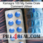 Kamagra 100 Mg Gelée Orale Comment Utiliser 40